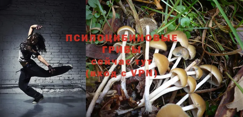 как найти закладки  Сорочинск  Галлюциногенные грибы MAGIC MUSHROOMS 